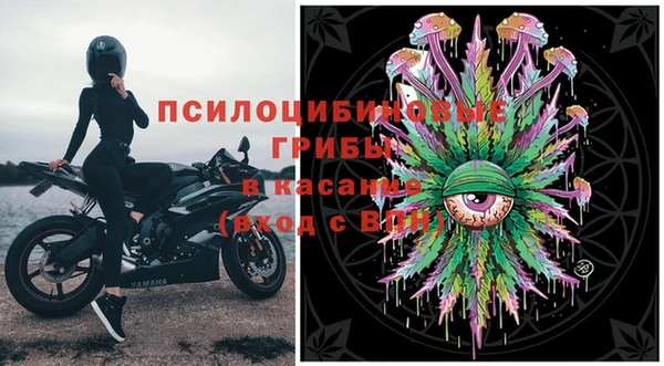 бошки Абинск