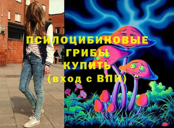 кокс Болотное