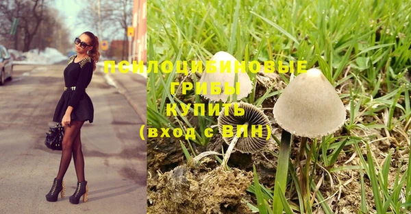 spice Абдулино